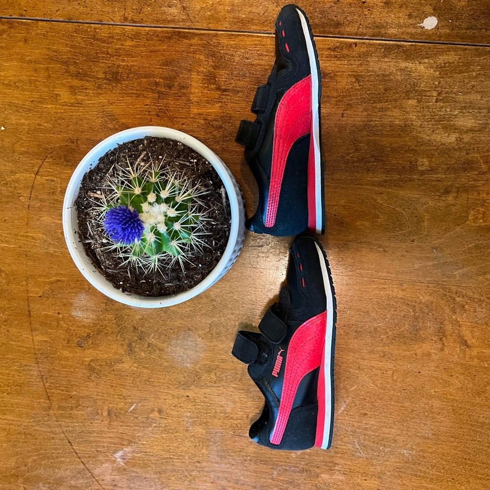 Puma Boys Black Red Sneakers Size 1C Toddler Velcro Athletic Shoes
